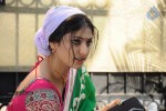 haripriya-stills-in-ee-varsham-sakshiga