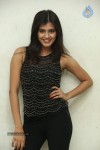 hebah-patel-new-gallery