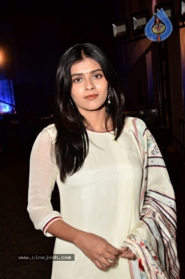 Hebah Patel Photos - 11 of 31