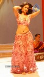 ileana-new-photo-gallery