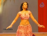 ileana-new-photo-gallery