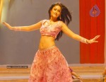 ileana-new-photo-gallery