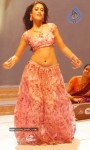 ileana-new-photo-gallery