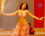 ileana-new-photo-gallery