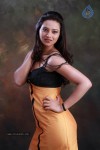 Isha Chawla Hot Photo Shoot - 26 of 89