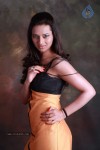 Isha Chawla Hot Photo Shoot - 75 of 89