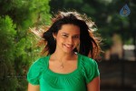 Isha Chawla New Photos - 36 of 75