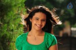 Isha Chawla New Photos - 40 of 75