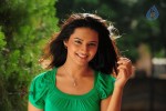 Isha Chawla New Photos - 51 of 75