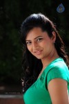 Isha Chawla New Photos - 71 of 75