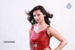 Isha Chawla Photo Shoot - 46 of 69