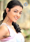 Kajal Agarwal New Gallery - 17 of 35