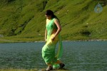 Kajal Agarwal New Gallery - 34 of 68