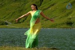 Kajal Agarwal New Gallery - 63 of 68