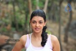 Kajal Photos - 53 of 60