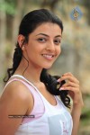 Kajal Photos - 54 of 60