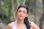 Kajal Photos - 56 of 60