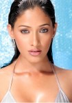 Kesha Khambhati Hot Stills - 10 of 14
