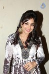 madhavi-latha-at-pooja-audio-launch