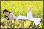 Madhavi Latha Latest Hot Pics - 13 of 22