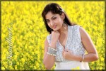 Madhavi Latha Latest Hot Pics - 18 of 22