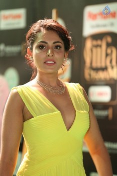 Madhu Shalini at IIFA 2017 - 14 of 36