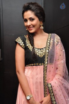 Madhu Shalini New Photos - 9 of 42