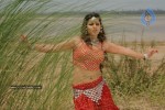 Madhu Sharma In Pravarakyudu Movie Stills - 1 of 26