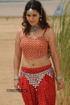 Madhu Sharma In Pravarakyudu Movie Stills - 16 of 26