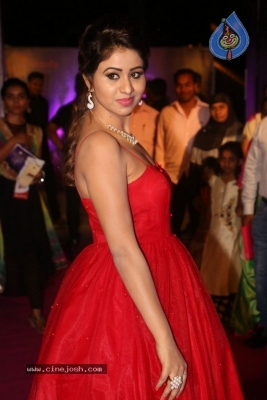 Manali Rathod at Zee Apsara Awards - 11 of 21