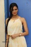 meenakshi-dixit-gallery