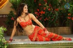 Meenakshi Dixit Hot Stills - 21 of 21