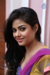 Meera Chopra Latest Stills - 41 of 74