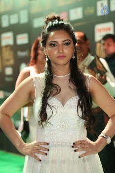 Meghana Gaonkar at IIFA Utsavam 2017 - 14 of 15