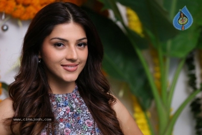 Mehrene Kaur Pirzada Interview Photos - 22 of 29