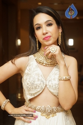 Model Ankita Sethi Latest Pics - 14 of 15