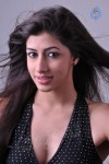 Nandini Hot Photo Gallery - 33 of 59