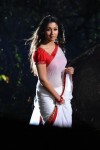 nayanthara-hot-photos