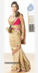 Nayanthara New Photos In Saree - 12 of 16