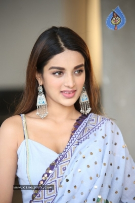 Nidhhi Agerwal Photos - 3 of 21