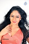 Nikesha Patel Hot Photos - 10 of 25