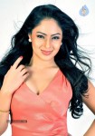 Nikesha Patel Hot Photos - 12 of 25