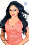 Nikesha Patel Hot Photos - 16 of 25