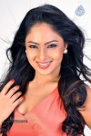 Nikesha Patel Hot Photos - 18 of 25