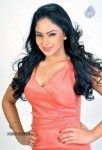 Nikesha Patel Hot Photos - 21 of 25