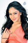 Nikesha Patel Hot Photos - 22 of 25
