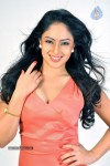 Nikesha Patel Hot Photos - 23 of 25