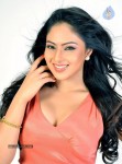 Nikesha Patel Hot Photos - 25 of 25