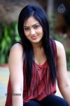 Nikesha Patel Latest Gallery - 41 of 125