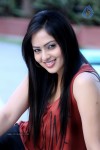 Nikesha Patel Latest Gallery - 109 of 125